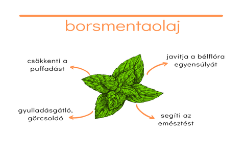 Borsmentaolaj