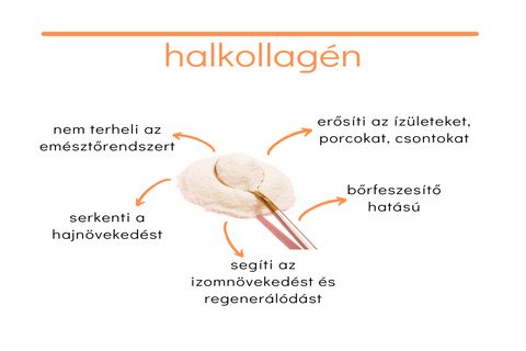 Halkollagn