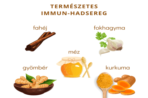 Termszetes Immun-Hadsereg